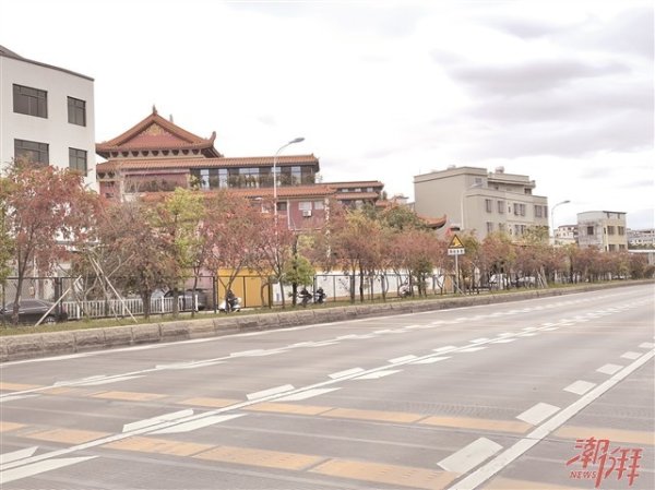 按日配资炒股 潮州市潮安区健全三级共建机制 美丽圩镇建设按下“快进键”