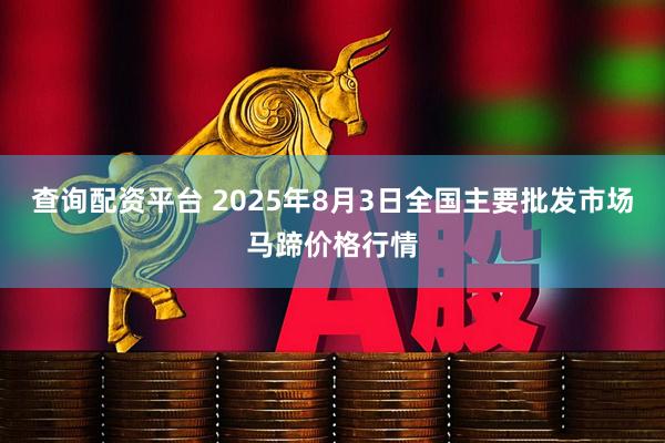 查询配资平台 2025年8月3日全国主要批发市场马蹄价格行情